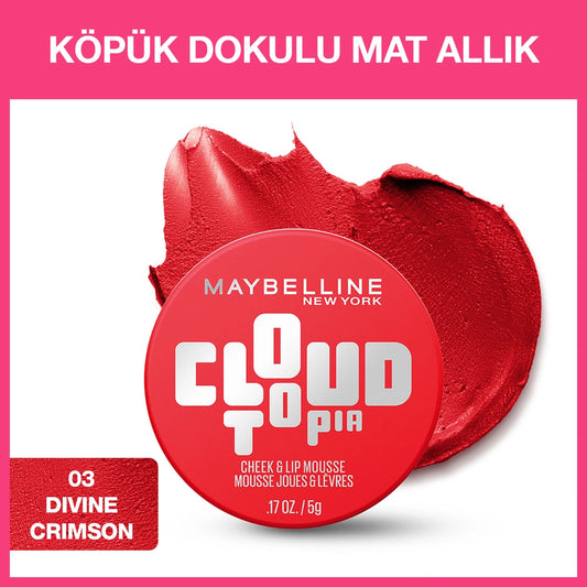 Maybelline New York Cloudtopia Foam Textured Matte Blush